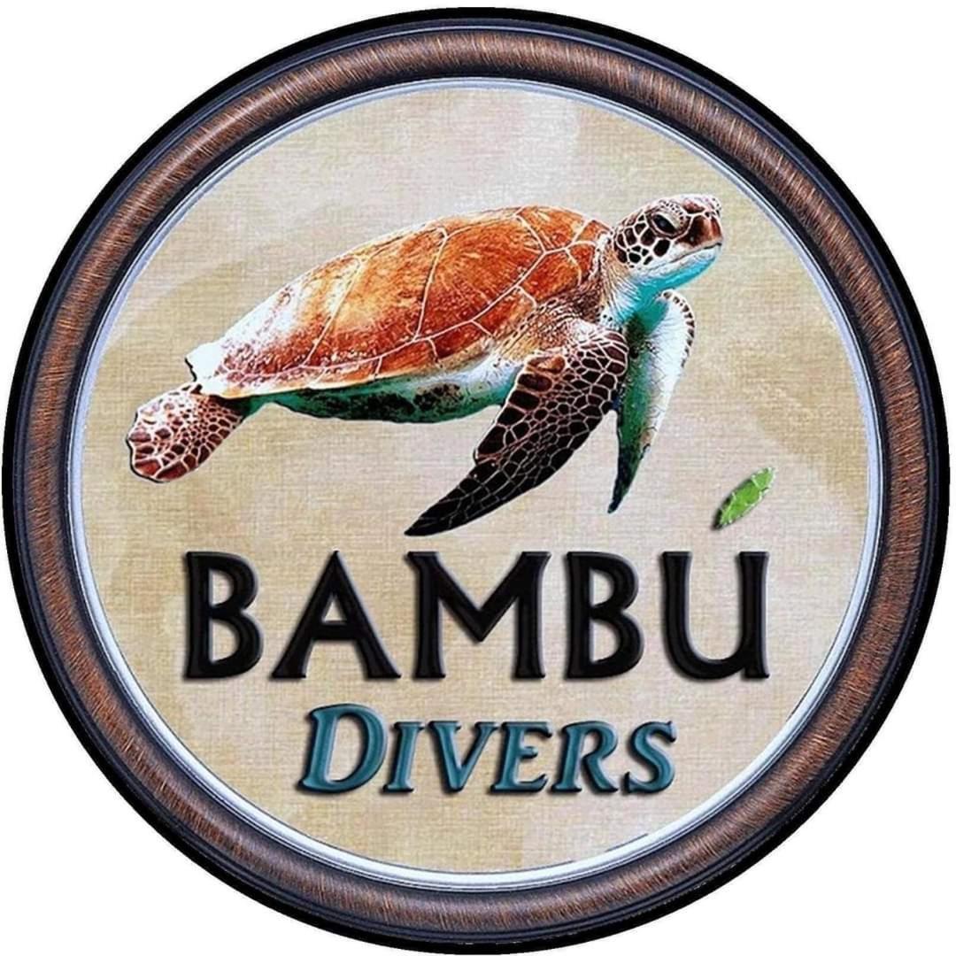 Pondok Bambu Resort - 5 Stars Padi Dive Centre Candidasa Exteriör bild